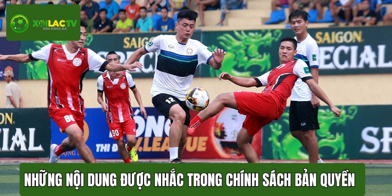 Những nội dung chính được nhắc trong chính sách bản quyền