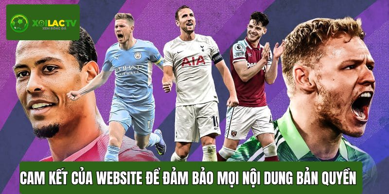 Cam kết của website để đảm bảo mọi nội dung bản quyền