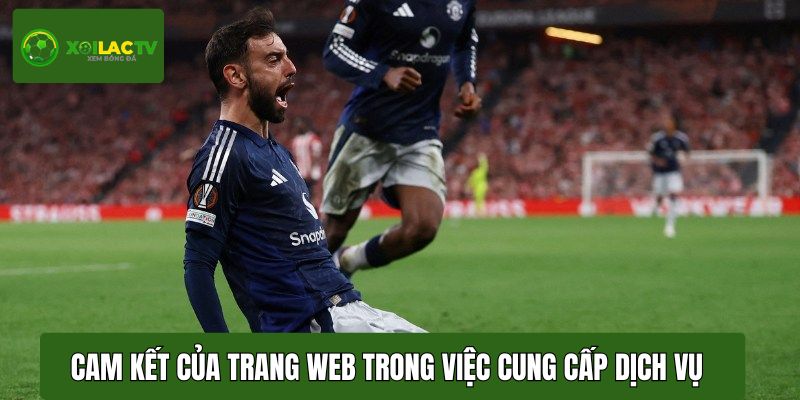 Cam kết của trang web trong việc cung cấp dịch vụ