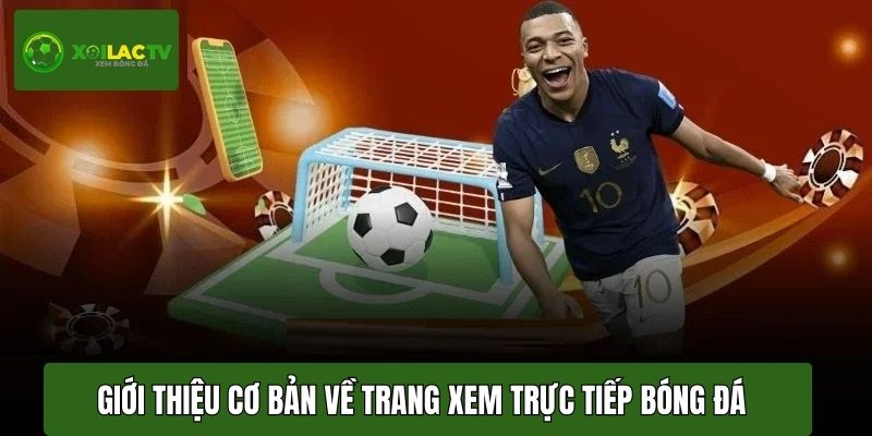 Giới thiệu vài thông tin cơ bản về trang xem trực tiếp bóng đá hiện đại