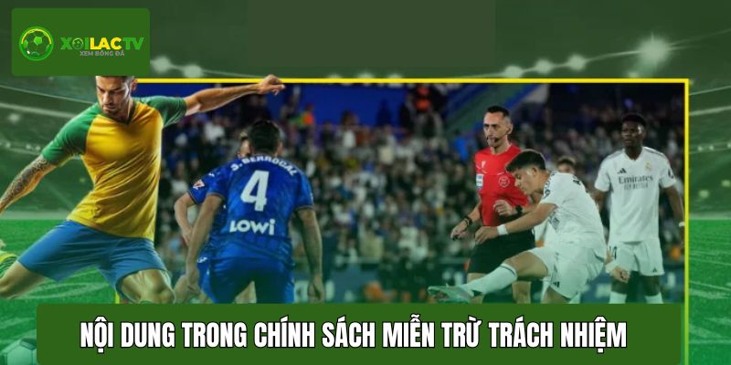 Nội dung chi tiết trong chính sách miễn trừ trách nhiệm