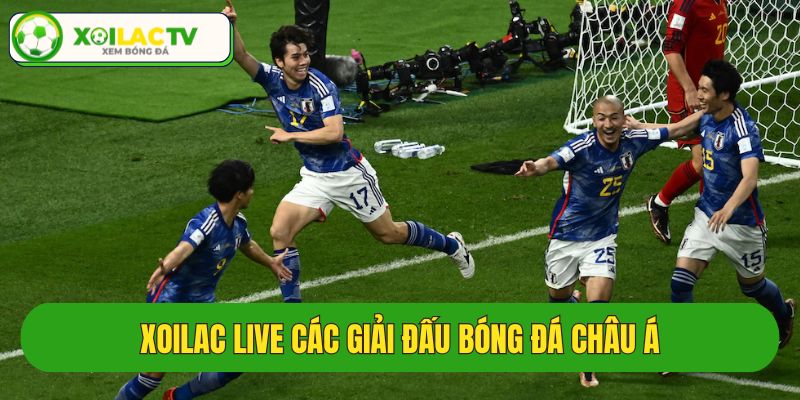 Phát trực tiếp các trận bóng đá châu Á 24/24