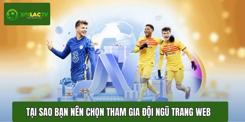 Tại sao bạn nên chọn tham gia đội ngũ trang web