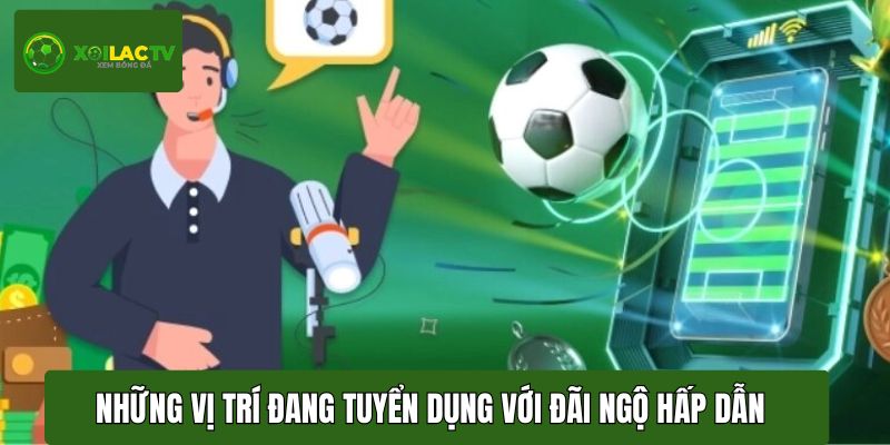 Những vị trí website đang tuyển dụng với đãi ngộ hấp dẫn