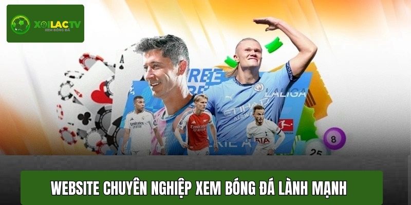 Website chuyên nghiệp tạo môi trường xem bóng đá lành mạnh