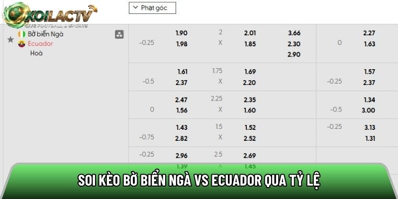 Soi kèo Bờ Biển Ngà vs Ecuador qua tỷ lệ